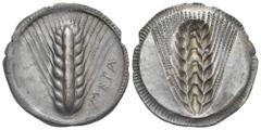 Magna Graecia Lucania. Metapontion. Circa 540-510 BC. Archaic Stater (Silver, 30.72 mm, 8.22 g) META Ear of grain. Rev. Incuse ear of grain. Noe Class VI, 120. HN Italy 1479. HGC 1, 1027. Old cabinet 