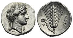 Magna Graecia Lucania. Metapontion. Circa 340-330 BC. Didrachm or Nomos (Silver, 21.44 mm, 7.78 g) Head of Demeter right, wearing wreath of grain ears, triple-pendant earring, pearl necklace and a lig