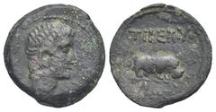 Staffieri Collection of Roman Alexandria Egypt. Alexandria. Tiberius, 14-37. Obol (Bronze, 20.56 mm, 4.61 g). Dated RY 5 (= 18-19). Bare head of Tiberius right. Rev. ΤΙΒΕΡΙΟΥ above. Hippopotamus right