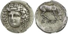 LARISSA: AR didrachm (5.95g), ca. 350-325 BC, S-2119, head of the nymph Larissa facing slightly left, with hair in ampyx / horse preparing to lie down, city name divided half above & half below the ho