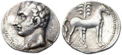 Ancient Coins Iberia, Punic issues. Silver Shekel (7.34 g), ca. 218-206 BC Carthago Nova. Bare male head (Hannibal?) left. Reverse: Horse standing right; palm tree behind. ACIP 603; SNG BM Spain 104-5