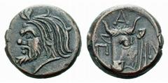 ANCIENT COINAGE GREEK COINS The Tauric Chersonese No.: 5450 Schätzwert/Estimate: CHF 150.- Panticapaeum. Aes 4th-3rd century. Head of Satyr to l. Rev. PAN Head of Oxen to l. 4,15 g. SNG Cop. 32. Brown