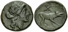 Argos Dichalkon, late 2nd Century, ex BCD Argos, Peloponnesos. AE Dichalkon (16 mm, 3.07 g), c. late 2nd to early 1st Century BC. Obv. Laureate head of Apollo right. Rev. Wolf standing at bay to right