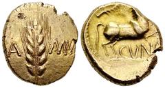 Cunobelin AV Stater Celtic Britain. Trinovantes and Catuvellauni. Cunobelin (c. 10-43 AD). AV Stater (18 mm, 5.44 g). Wild series A. Obv. Grain ear, CA-MV in fields. Rev. Celticized horse galloping ri