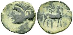 Carthago Nova AE24, Roman head Carthago Nova, Spain. Roman Occupation. AE24 (10.13 g), after 209 BC. Obv. Bare-head (of Scipio Africanus?) left. Rev. Horse standing right; palm tree behind. CNH Class 