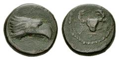Akragas Onkia, crab / head of eagle, very rare Akragas , Onkia (13 mm, 2.37 g), c. 425-406 BC. Obv. Head of eagle right. Rev. Crab. SNG ANS 1004. Very rare. Very fine. Ex Art Coins Roma 4 (2011), 521.
