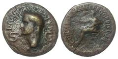 Roman Imperial Divus Augustus. Died A.D. 14. Æ dupondius (32.1 mm, 12.18 g, 7 h). Rome, Struck under Gaius (Caligula), A.D. 37-41. DIVVS. AVGVSTVS, S-C, radiate head left / CONSENSV SENAT ET EQ · ORDI