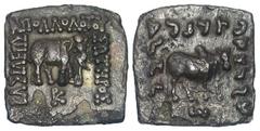 Non-Classical Cultures Graeco-Baktrian Kingdom. Apollodotos I. Ca. 174-165 B.C. Æ square drachm (16.0 mm, 1.64 g, 12 h). Elephant right; monogram below / Humped bull right; ω below. Bopearachchi Série