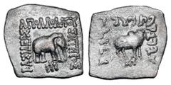 Eastern Cultures BAKTRIAN KINGDOM. Apollodotos I, 160-150 BC. AR Square Drachm (2.32 gm). Elephant standing / Humped bull standing SNG.ANS.337. Toned VF.