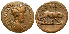Roman Provincial Mysia, Parium. Commodus. A.D. 177-192. AE 24 (23.86 mm, 5.34 g, 2 h). IMP CAI M AVR COMMODVS, laureaate, draped and cuirassed bust of Commodus right, seen from behind / C G I H P, Cap