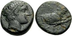 Greek KINGS OF MACEDON. Pausanias, 395/4-393 BC. Hemiobol (Bronze, 15 mm, 3.52 g, 1 h), Aigai. Head of Apollo to right, wearing tainia. Rev. ΠAY-ΣΑΝ Forepart of lion right. HGC 827. Westermark, Remark