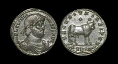 Ancient Roman Imperial Coins - Julian II The Apostate - Bull Double Maiorina 361-363 AD. Thessalonica mint. Obv: DN FL CL IVLI-ANVS P F AVG legend with pearl-diademed, draped and cuirassed bust right.