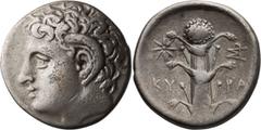 Ancient Greek Cyrenaica, Cyrene. Didrachm; Cyrenaica, Cyrene; c. 305-300 BC, Didrachm, 7.61g. BM-238, SNG Cop-1238. Obv: Head of Zeus Karneios l. Rx: Silphium; in field above, monogram to rl. and star