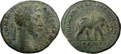 Ancient Coins Commodus. 40-as; Commodus; 177-192 AD, Rome, 184 AD, As, 8.77g. BM-543, C-378 (6 Fr.), RIC-432. Obv: M COMMO[DVS] - ANTO[N AVG PIVS] Head laureate r. Rx: [M]VNIFICENTIA AV[G TR P V]IIII 