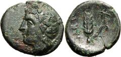 Magna Graecia Good Very Fine; attractive green patina | MAGNA GRAECIA. LUCANIA, METAPONTION. Bronze ae17, circa 300-250 BC. Obv: ivy-wreathed head of Dionysus left. Rev: META, grain ear with leaf to r