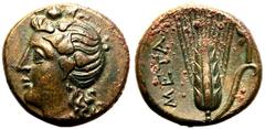 MAGNA GRAECIA. LUCANIA, METAPONTION. Bronze ae15, circa 300-250 BC. Obv: ivy-wreathed head of Dionysus left. Rev: META, grain ear with leaf to right; above, cross-torch.About Extremely Fine; a fine ex