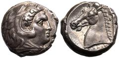 MAGNA GRAECIA. SICILY, SICULO-PUNIC, 'THE CAMP' (ENTELLA?). Silver tetradrachm, circa 300-289 BC. Obv: head of Herakles right, wearing lion skin headdress. Rev: head of horse left; date palm tree behi