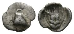 Greek Boeotia, Orchomenos, late 5th century-364 BC, Hemiobol, 0.30g, 8mm. Half wheat grain, sprouting end upward / Wheat ear upward. BCD Boiotia 205. Very fine.