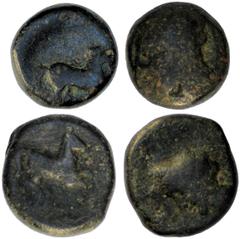 Ancient Coins Ancient Coins, Siculo-Punic AEs (6), possibly struck in Carthage (375-350 BC), an interesting study group (6)