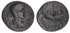 Roman Provincial Thessaly, Magnetes, Gordian III, (238-244), AE diassarion 23mm, (8.47 g), obv. laureate and draped bust of Gordianus to right, border of dots, MAAN upwards on left, [GORDIAN[OC] on ri