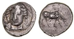 Greek Silver & Bronze Coins Thessaly, Larissa, (405/0-370 B.C.), silver drachm, (6.10 g), obv. facing head of nymph Larissa three-quarter to left, wearing tainia and necklace, border of dots, rev. hor