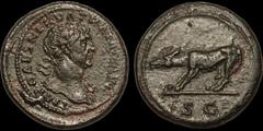 Roman Imperial Trajan. A.D. 98-117. Æ semis. 3.45 gm. 17 mm. Rome mint. Struck after A.D. 109. His laureate and slightly draped bust right; IMP CAES NERVA TRAIAN AVG / She-wolf left; SC in exergue. RI