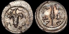Greek JUDAEA. Bar Kokhba Revolt. 132-135 C.E. AR zuz, overstruck on a denarius of Galba. 3.58 gm. 19 mm. Dated year 2 (133/4 C.E.). Grape bunch on vine / Palm frond. Hendin (5th ed.) 1394 corr. (rev. 