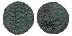 Ancient coin Ketovian - Semis nd AE. Semis nd. A/ Duas espigas; R/ Hipocampo e carimbo "S". 5,53 g. AGI KET 08.01, AB 1634. MBC VF