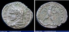 Ancient Coins Tetradrachm Ar. Caracalla. Antioch. Syria. C, 215-217 AD. Obv; Bust of Caracalla l. Rev; Eagle standing on leg of sacrificial animal, wreath in beak. Prieur 228. Grey tone. 13.64g. G VF.