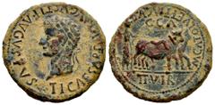 Celtiberian Coins Caesaraugusta. Time of Tiberius. Unit. 14-36 AD. Zaragoza. (Abh-359). Anv.: TI. CAESAR. DIVI. AVGVSTI. F. AVGVSTVS. Laureate head of Tiberius left. Rev.: Pair of oxen right, C.C.A. a