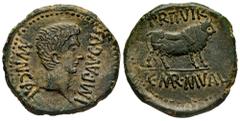 Celtiberian Coins Calagurris. Augustus period. Unit. 27 BC - 14 AD. Calahorra (La Rioja). (Abh-415). (Acip-3121). Anv.: MVN. CALAG. IMP. AVGVSTVS. Bare head of Augustus right. Rev.: Bull right, PR. II