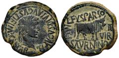 Celtiberian Coins Calagurris. Time of Tiberius. Unit. 14 - 36 BC. Calahorra (La Rioja). (Abh-429). Anv.: TI. AVGVS. DIVI. AVGVSTLF. IMP. CAESAR. Laureate head of Tiberius right. Rev.: Bull right, L. F