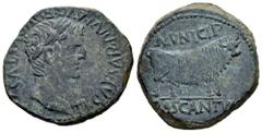 Celtiberian Coins Cascantum. Time of Tiberius. Unit. 14-36 d.C. Cascante (Navarra). (Abh-690). Anv.: TI. CAESAR. DIVI. AVG. F. AVGVSTVS. Laureate head of Tiberius right. Rev.: Bull right, MVNICIP abov