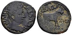 Celtiberian Coins Kelse-Celsa. Augustus period. Unit. 27 BC - 14 AD. Velilla de Ebro (Zaragoza). (Abh-809). (Acip-3164). Anv.: AVGVSTVS. DIVI. F. Laureate head of Augustus right. Rev.: Bull standing r