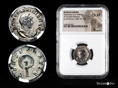 Roman Imperial Diva Mariniana. Antoninianus. 254-256 d.C. Rome. (Ric-3). (Rsc-2). Anv.: DIVAE MARINIANAE, diademed, veiled and draped bust right, set on crescent. Rev.: CONSECRATIO, peacock in splendo