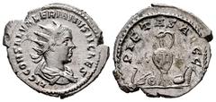 Roman Imperial Saloninus. Antoninianus. 256 d.C. Rome. (Ric-26). (C-49). (Rsc-49). Anv.: LIC COR SAL VALERIANVS N CAES, radiate and draped bust to right. Rev.: PIETAS AVGG, priestly implements: knife,