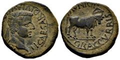 Celtiberian Coins Graccurris. Time of Tiberius. Unit. 14-36 AD. Alfaro (La Rioja). (Abh-1391). (Acip-3196). Anv.: TI. CAESAR. DIVI. AVG. (F. AVGVSTVS). Laureate head of Tiberius right. Rev.: Mitred bu