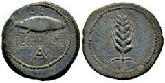 Celtiberian Coins Ilipense. Unit. 120-20 BC. Alcalá del Río (Sevilla). (Abh-1532). (Acip-2333). Anv.: Shad right, crescent above, letter A below legend ILIPENSE. Rev.: Ear of corn. Ae. 15,50 g. Ex Áur