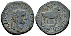Celtiberian Coins Turiaso. Augustus period. Unit. 27 BC - 14 AD. Tarazona (Zaragoza). (Abh-2450). (Acip-3291). Anv.: TI. CAESAR. AVG F. IMP. PONT. M. around laureate head of Tiberius right. Rev.: Bull