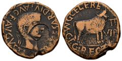Celtiberian Coins Calagurris. Época de Tiberio. As. 14-36 a.C. Calahorra (La Rioja). (Abh-430). (Acip-3130). Anv.: Cabeza laureada de Tiberio a derecha, alrededor TI. CAESAR. DIVI. AVG. F.AVGVSTVS. Re