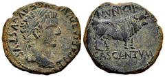 Celtiberian Coins Cascantum. Time of Tiberius. Unit. 14-36 d.C. Cascante (Navarra). (Abh-691). (Acip-3157). Anv.: TI. CAESAR. DIVI. AVG. F. AVGVSTVS. Laureate head of Tiberius right. Rev.: Bull right,