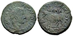 Celtiberian Coins Clunia. Time of Tiberius. Unit. 37-41 AD. Coruña del Conde (Burgos). (Abh-836). (Acip-3172). Anv.: TI. CAESAR. AVG. E AVGVSTVS. IMP. Laureate head of Tiberius right. Rev.: Bull left,