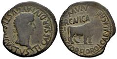 Celtiberian Coins Erkauika- Ercavica. Time of Tiberius. Unit. 14-36 AD. Cañaveradas (Cuenca). (Abh-1282). (Acip-3189). Anv.: TI. CAESAR. DIVI. AVGVSTI. F. AVGVSTVS. Laureate head of Tiberius right. Re