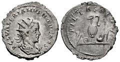 Roman Imperial Valerian II. Antoninianus. 254-255 d.C. Rome. (Ric-V 1.20 var.). (Rsc-50 var.). (Mir-248k). Anv.: P C L VALERIANVS NOB CAES, radiate, draped and cuirassed bust to right. Rev.: PIETAS AV