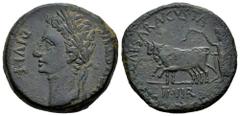 Celtiberian Coins Caesaraugusta. Augustus period. Unit. 27 BC - 14 AD. Zaragoza. (Abh-318). (Acip-3033). Anv.: AVGVSTVS. DIVI. F. Laureate head of Augustus left. Rev.: Pair of oxen left, II. VIR. belo