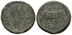 Celtiberian Coins Calagurris. Augustus period. Unit. 27 BC - 14 AD. Calahorra (La Rioja). (Abh-415). (Acip-3121). Anv.: MVN. CALAG. IMP. AVGVSTVS. Bare head of Augustus right. Rev.: Bull right, PR. II