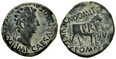 Celtiberian Coins Kelse-Celsa. Augustus period. Unit. 27 BC - 14 AD. Velilla de Ebro (Zaragoza). (Abh-812). Anv.: IMP. CAESAR. DIVI. F. AVGVSTVS. COS. XII. Laureate head of Augustus right. Rev.: Bull 