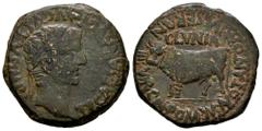 Celtiberian Coins Clunia. Time of Tiberius. Unit. 37-41 AD. Coruña del Conde (Burgos). (Abh-836). Anv.: TI. CAESAR. AVG. E AVGVSTVS. IMP. Laureate head of Tiberius right. Rev.: Bull left, CLVNIA above