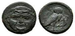 Greek Coins Sicily. Kamarina. Onkia. 420-405 BC. (CNS-III 15). (Hgc-2, 552). (Tesorillo-Sicilia 5, Plate Coin). Anv.: Facing gorgoneion. Rev.: Owl standing to right, head facing, holding lizard in tal