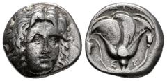 Greek Coins Islands of Caria. Rhodos, Rhodes. Didrachm. 305-275 BC. (Ashton-158). (Hgc-6,1435). Anv.: Head of Helios facing slightly right. Rev.: Rose with bud to right; grape bunch on tendril to left
